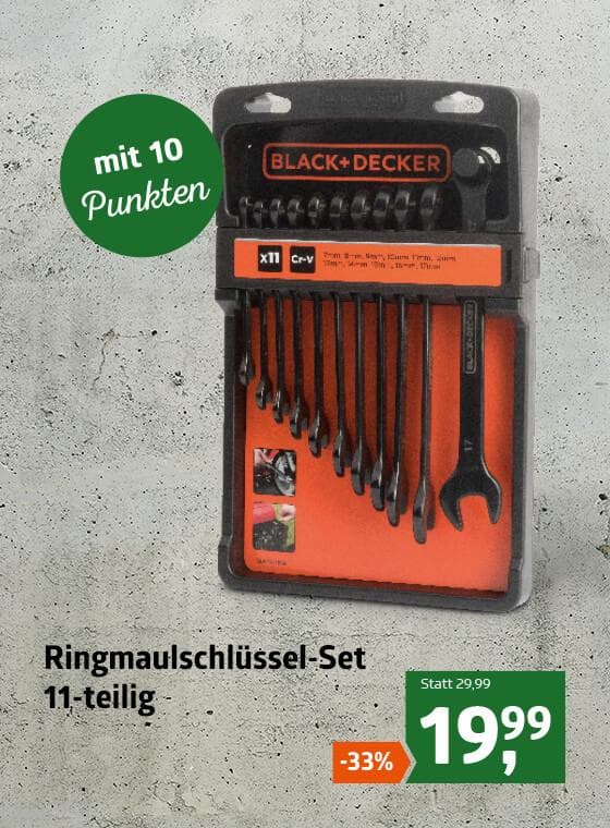 Ringmaulschlüssel Set 11-teilig