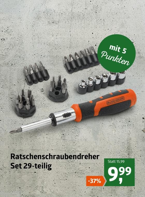 Ratschenschraubendreher Set 29-teilig
